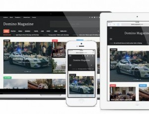 Domino Magazine v2.0.7 – 杂志WordPress主题