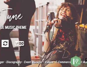 Tune v1.7.0 – 单页音乐WordPress主题