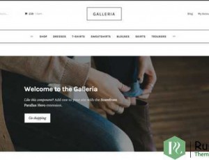 Galleria v2.2.13 – 店面时尚儿童主题