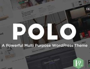 Polo v1.4 – 响应式多用途WordPress主题