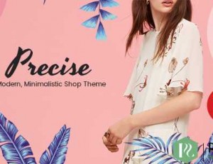 Precise v1.6 – 现代简约WordPress商店主题