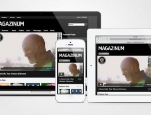 Magazinum v4.0.4 – 杂志WordPress主题