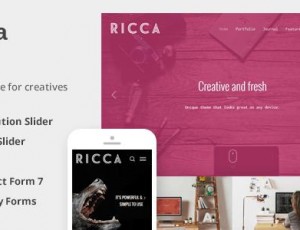 Ricca v1.1.6 – 为广告素材设计全新响应式主题