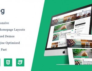 MyBlog v1.1.3 – 高级专业WordPress主题