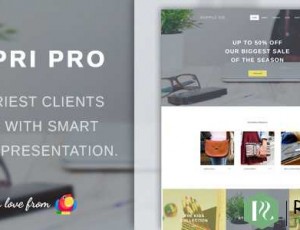 Capri Pro v1.1.22- 极简电子商务商店WordPress主题