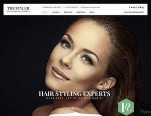 the styler v1.2 – WordPress美女主题