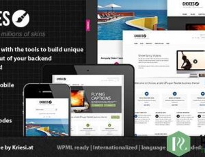 choices v4.1 – 快速响应的业务和投资组合