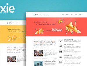 Moxie v1.3.19 – WordPress的响应主题