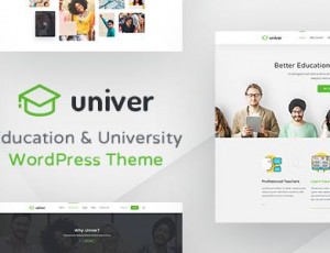 Univer v1.25 – 大学的WordPress主题