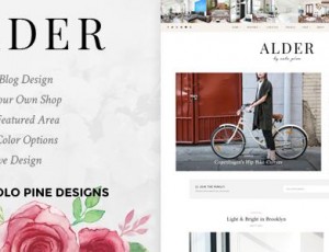 Alder v1.1 – 一个响应式WordPress博客主题