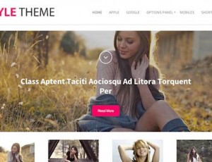 style v1.0.7 – 博客的时尚WordPress主题