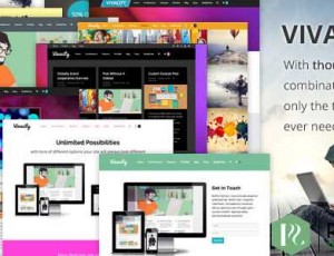 vivacity v2.11.1 – 多用途响应式WordPress主题