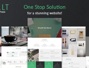 Salt v1.2.8 – 响应式多用途WordPress主题