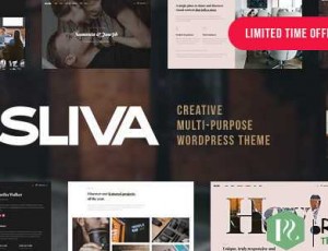 Sliva v1.0 – 响应式多用途主题