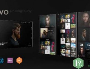 Novo v3.1.6 – WordPress摄影主题