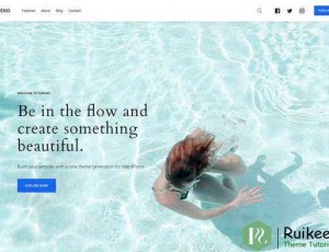 Pukeko v1.1 – WordPress商业，博客主题