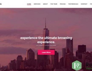 Roxima v1.4 – 高级商业WordPress主题