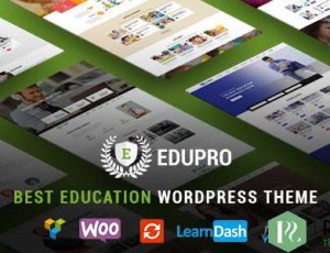 EduPro v1.4.2 – 专业WordPress教育主题