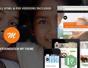 Mission v2.4.2 – 响应式WP主题慈善