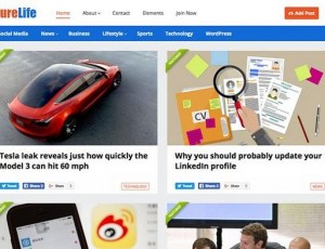 PureLife v1.5 – 博客杂志WordPress主题