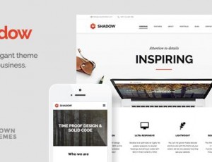 Shadow v1.7.0 – 响应式视网膜多用途WordPress主题