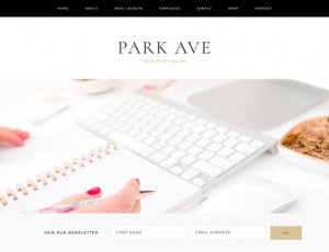Park Ave v1.0.1 – 一款女性化WordPress主题