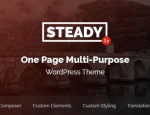 Steady v1.1 – 一页多用途WordPress主题