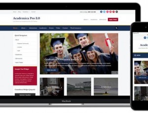 Academica Pro 3 v3.0.3 – 教育/组织WordPress主题