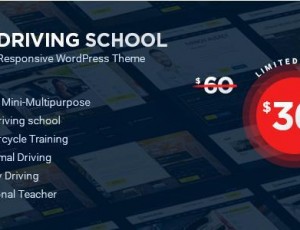Driving School v1.4.3 – WordPress主题