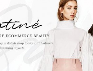 Satiné v1.2 – 一个优雅的多概念店WordPress主题