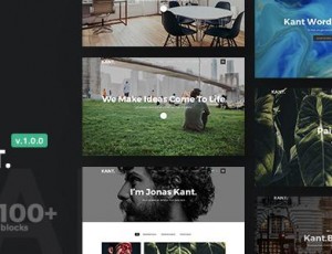 Kant v1.0.14- 一款适用于初创公司的多用途WordPress主题
