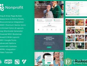 Nonprofit v1.0.0 – WordPress主题