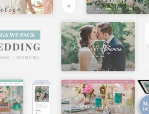Wedding Industry v4.6 – 婚礼多用途情侣WP主题