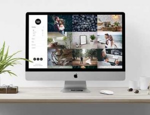 Sugarland v1.0.0 – 创意当代投资组合WordPress主题