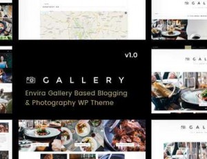 Gallery v1.0.4 – Blogging＆Envira Gallery WordPress主题
