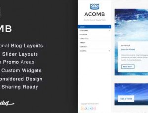 Acomb v1.0.5 – 响应式博客WordPress主题