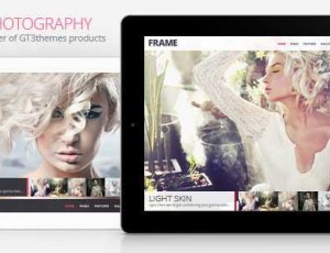Frame v2.6.1 – 摄影简约WordPress主题