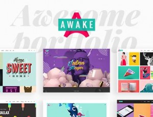 Awake v1.3 – 一个充满活力和新鲜的投资组合WordPress主题