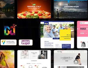 MAXIMUM V5.1 – 多用途响应WordPress主题