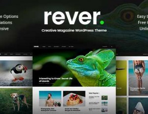 Rever v1.0.3 – 简洁WordPress主题