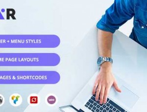 Pexr v1.3 – 响应式多功能WordPress主题