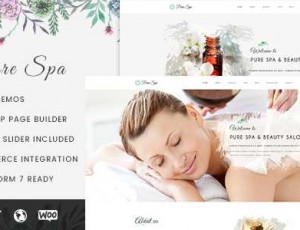 Pure v1.0.2 – Spa＆Beauty响应WordPress主题