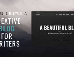 RibTun v1.1 – WordPress博客主题