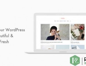 Nubia v1.0.6 – 最小的博客和杂志WordPress主题