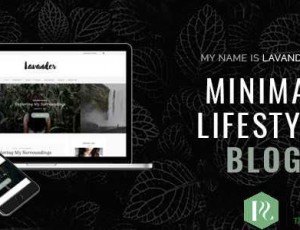 Lavander v1.2- 生活方式响应博客WordPress主题
