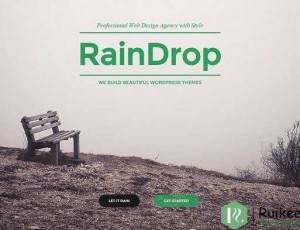 RainDrop v1.1 – 多功能WordPress主题