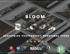 Bloom v1.0 – 响应式摄影/投资组合WordPress主题