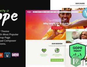 hope v2.2.1 – 非营利，慈善和捐赠WordPress主题