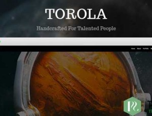 Torola v1.2.0 – 现代摄影WordPress主题