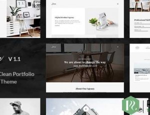 Snow v1.3.4- 最小和干净的WordPress组合主题